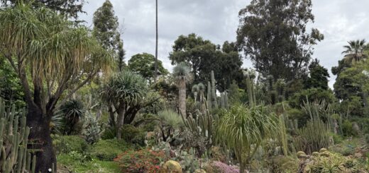 orto botanico Napoli