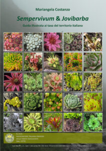 Sempervivum & Jovibarba - Autore: Mariangela Costanzo Sempervivum & Jovibarba - Autore: Mariangela Costanzo